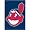 Cleveland Indians MLB Mini Garden or Window Flag (15