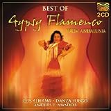 Best of Gypsy Flamenco Andalusia