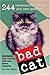 Bad Cat: 244 Not-So-Pretty Kitties And Cats Gone Bad by Jim Edgar