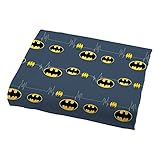 Warner Bros Batman Guardian Speed Microfiber Sheet Set, Twin