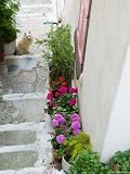 Street Detail, Vathy, Samos, Aegean Islands, Greece Photographic Poster Print by Walter Bibikow, 9x12