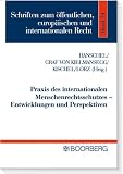 Produkt-Bild: Praxis des internationalen Menschenrechtsschutzes - Entwicklungen und Perspektiven