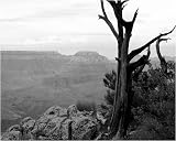 "A Canyon Voyage"
