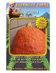 Lawn & Patio: Everwilde Farms - Hubbard Golden Winter Squash Seeds - Jumbo Seed Packet (40) - Everwilde Farms