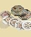 Beauty From The Beach Victorian Shell Picture Kit by Authentic Models