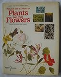 Nature's use of colour in plants and their flowers