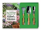 Die schönsten Pflanzen für Kübel und Kästen: Mit vielen Praxistipps