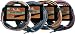 51Cb0uq XcL. SL75  Fender FM 53S Mandolin   Sunburst