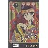 xxxHOLiC 17
