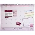 Day Runner Recycled Nature Wall Calendar, Med Wall, 2012 (998-1)