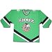 North Dakota Fighting Sioux Nike Youth Team Replica Hockey Jersey
