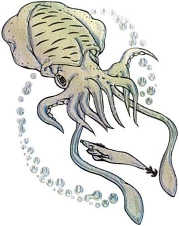 Fishing hobby Series Fishing debauchery squid / BK