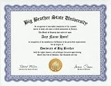Big Brother Degree: Custom Gag Diploma Doctorate Certificate (Funny Customized Joke Gift - Novelty Item)