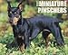 Miniature Pinschers 2010 Wall Calendar