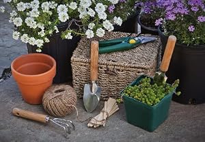 Click for larger image Set of 7 Gardening Tools in Basket