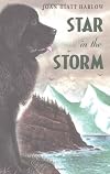 Star in the Storm