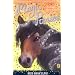 Magic Ponies: Riding Rescue