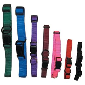 SDISC Quick Release Adjustable Nylon Collar/Burgundy (1" x 18-26")