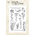 Clear Art Stamp Medium 6"X4" Sheet