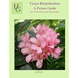 vireya rhododendron a picture guide how i grow vireya in my hawaii garden