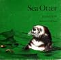Sea Otter
