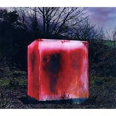 Dim (Limited Edition)