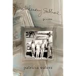 The Ordinary Sublime book cover