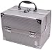 Health & Personal Care : Caboodles 9.5" Silver Ultimate Organizer