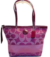 Coach 19428 Silver Fuchsia Signature Stripe Tote Nwt