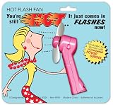 Design Sense Hot Flash Fan