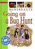 Minibeast : going on a bug hunt