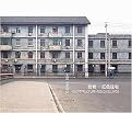 Wang Di (Ego, Structure, Red Dwellings) (Bilingual) (Hardcover)