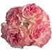 Kitchen & Housewares : Fairy Lights Pink Rose - Large