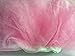 CANIS Photography Prop Newborn Baby Girls Skirt Suit and Elastic Headband Gift Set