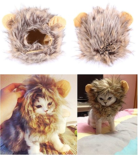 Bassion Pet Cosplay Costume Lion Mane Wig Hat For Cat Or Small Dog Dress Up W.. 17 51CcN1Pp iL