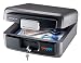SentrySafe HD2100 FIRE-SAFE Waterproof Chest, 0.37 Cubic Feet, Silver Gray