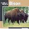 Movies of the BUFFALO