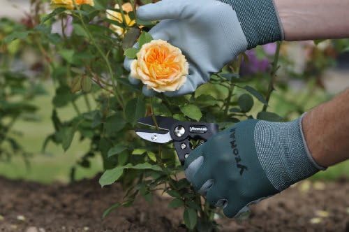 The Online Gardner Weedol Rootkill Plus Weedkiller 3 Tubes Of Liquid Concentrate