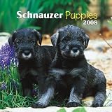 Schnauzer Puppies 2008 Mini Wall Calendar