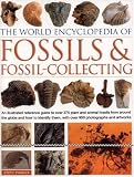 World Encyclopedia of Fossils & Fossil-Collecting: An illustrated reference to over 400 plant and animal fossils from around the globe and how to identify ... with over 1,000 photographs and artworks