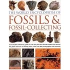 World Encyclopedia of Fossils and Fossil-Collecting: An illustrated reference to over 400... by Steve Parker