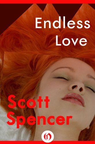 Endless Love (Open Road)