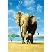 Elephants 500-pc. Puzzle