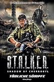 Stalker - Shadow of Chernobyl, Band 6: T&ouml;dliche S&uuml;mpfe - Aleksej Kalugin