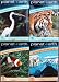 Search : Set of 4 Planet Earth Flash Cards - Animals - Fish - Birds - Geography