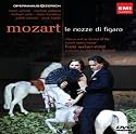 Mozart: Le Nozze di Figaro [DVD] [1996]