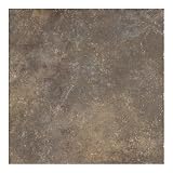 Walnut Canyon 20 x 20 Field Tile in Multi