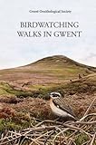 Birdwatching walks in Gwent