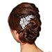 EVER FAITH Bridal Hair Comb Flower Cluster Clear Austrian Crystal