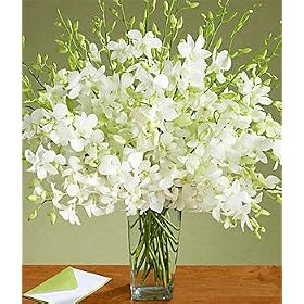 Flowers - Deluxe White Dendrobium Orchids Bouquet with Vase by 
